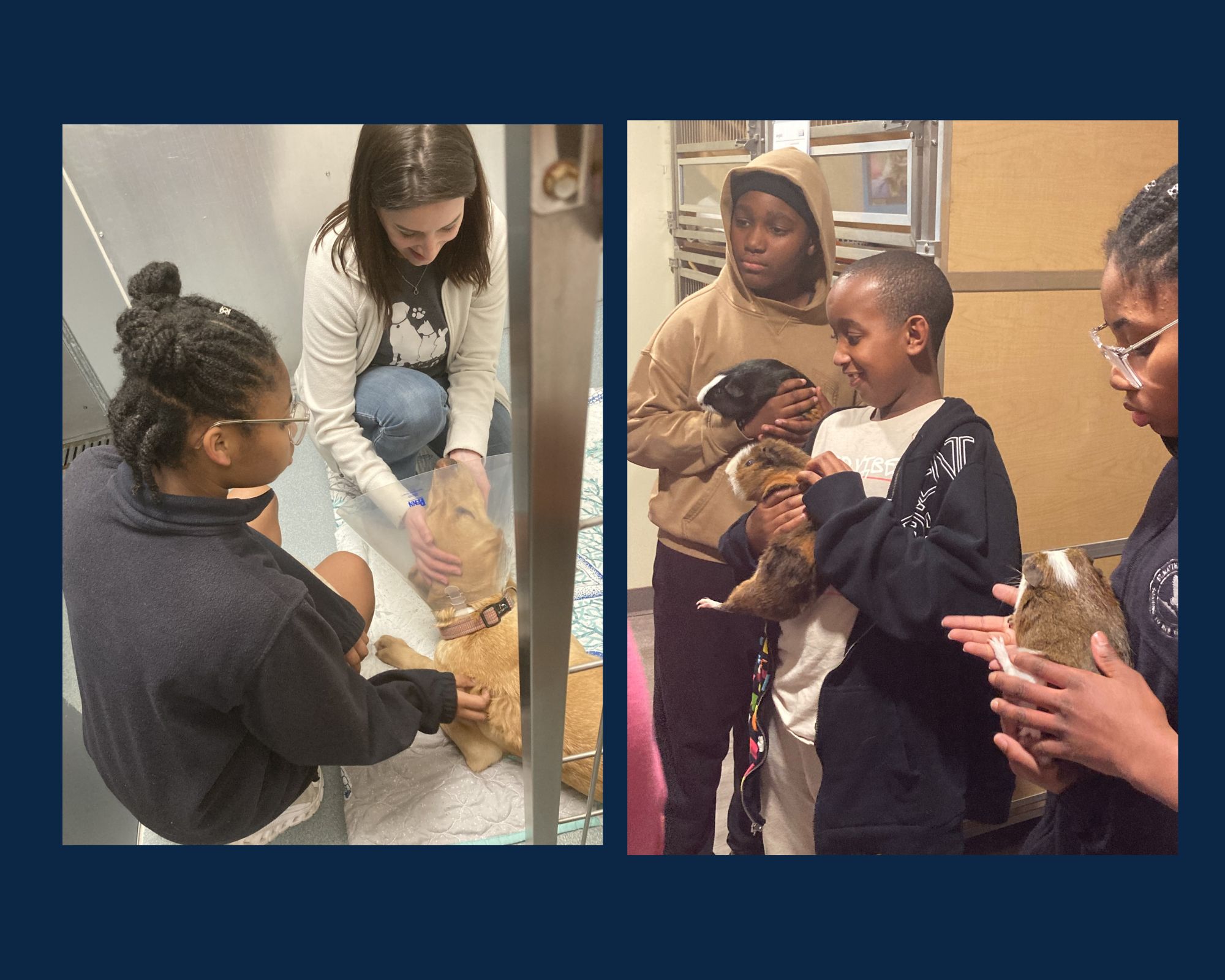 Featured image for “Beyond the Bell Middle Schoolers: ‘Be the Change’ for Our Furry Friends”